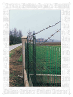 Realizzazione 46